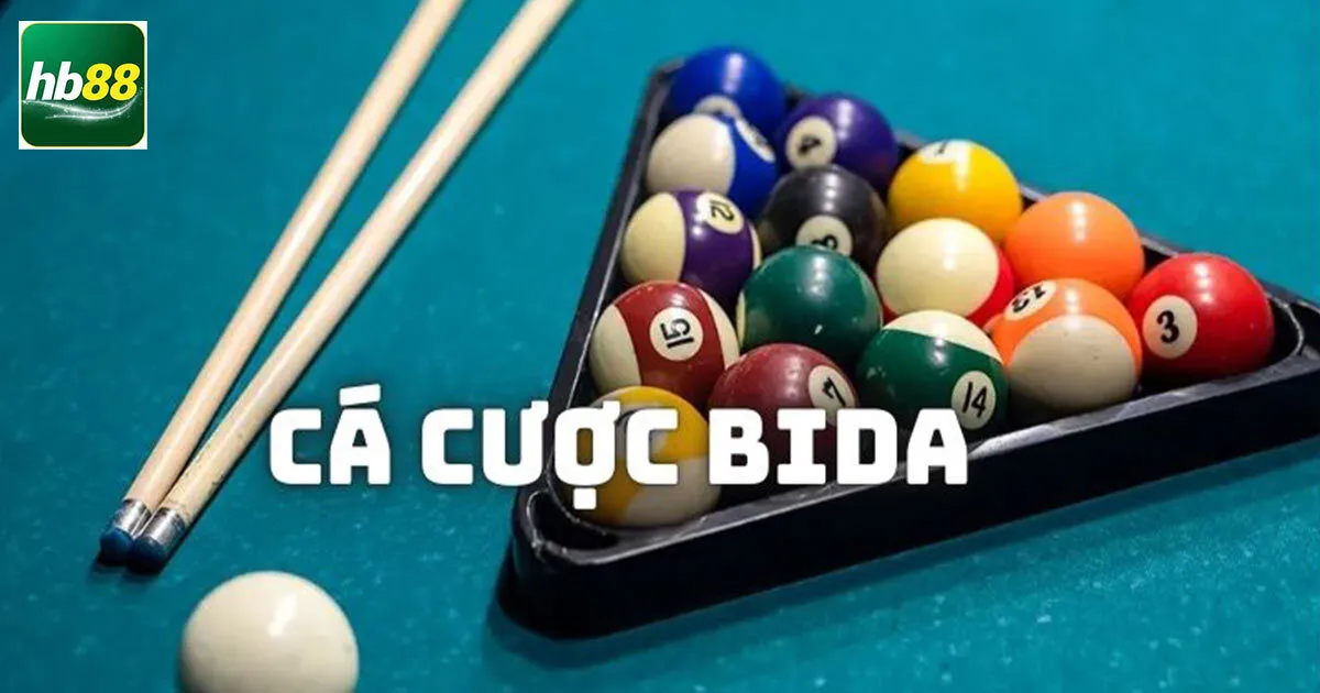 Cá Cược Bida - Tổng Hợp Các Loại Kèo Cá Độ Phổ Biến Nhất 1 cá cược bida