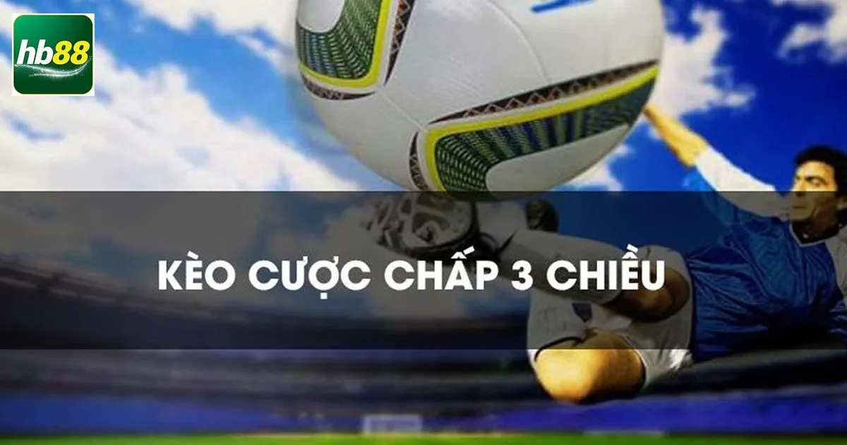 Cược Chấp 3 Chiều Là? Cách Soi Kèo Nào Mang Lại Hiệu Quả Cao 4 Cách tính tiền cược chấp 3 chiều khi dự đoán đội cược chấp âm