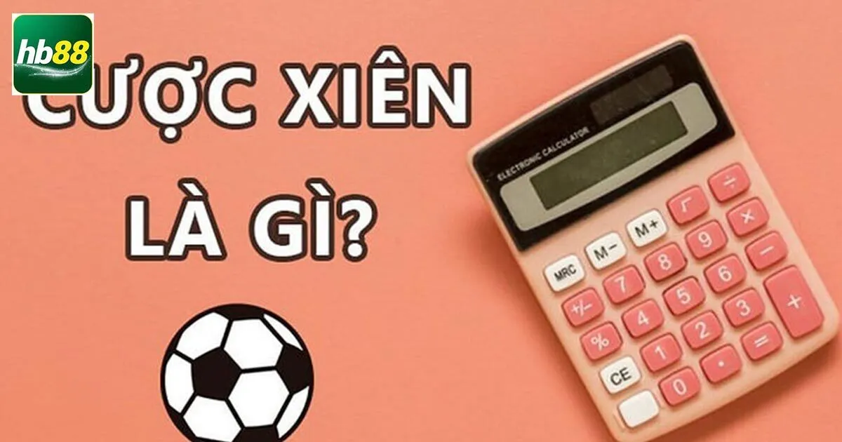 Cược Xiên Là Gì? Bỏ Túi Cách Đánh Xiên Hốt Tiền Tỷ 1 tim hieu cuoc