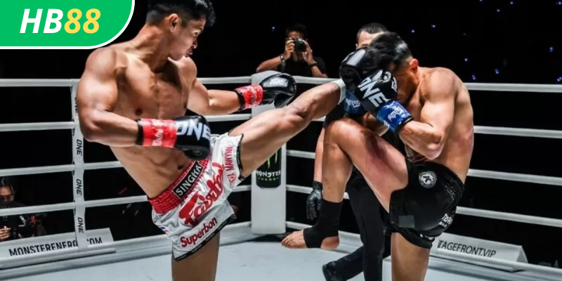 Cá Cược Quyền Anh HB88: Mẹo Và Chiến Thuật Đổi Thưởng 3 Mẹo cá cược quyền anh tại HB88